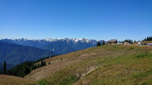 f:id:seattlelifelog:20200801114821j:image f:id:seattlelifelog:20200801114821j:image