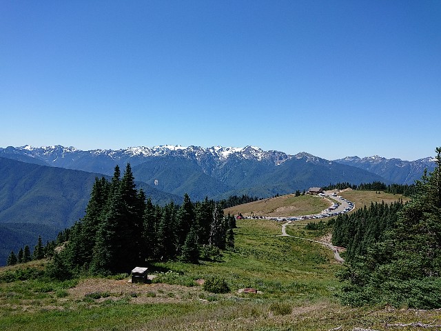 f:id:seattlelifelog:20200801114924j:image f:id:seattlelifelog:20200801114924j:image