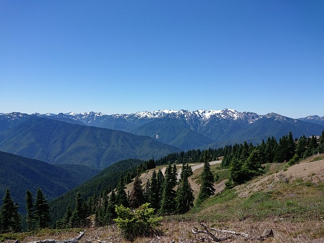 f:id:seattlelifelog:20200801115146j:image f:id:seattlelifelog:20200801115146j:image