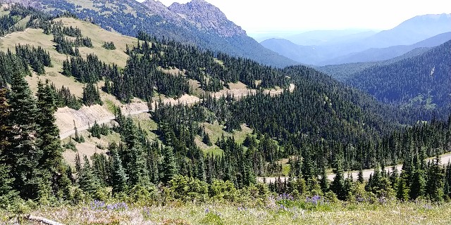 f:id:seattlelifelog:20200801125831j:image f:id:seattlelifelog:20200801125831j:image