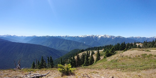 f:id:seattlelifelog:20200801125850j:image f:id:seattlelifelog:20200801125850j:image