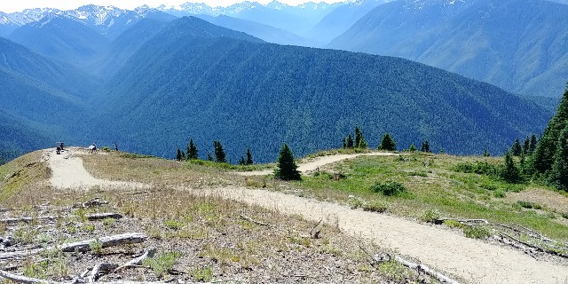 f:id:seattlelifelog:20200801125955j:image f:id:seattlelifelog:20200801125955j:image