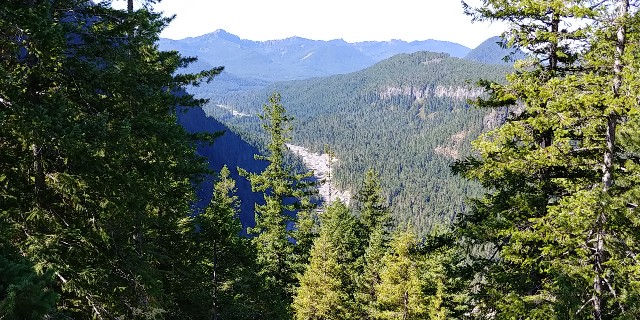 f:id:seattlelifelog:20200829143716j:image