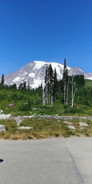 f:id:seattlelifelog:20200829144018j:image