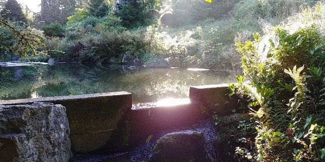 f:id:seattlelifelog:20200928104548j:image