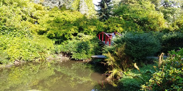 f:id:seattlelifelog:20200928104722j:image