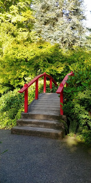 f:id:seattlelifelog:20200928105242j:image