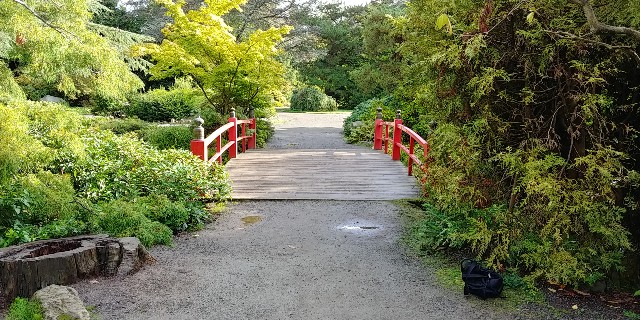 f:id:seattlelifelog:20200928105336j:image