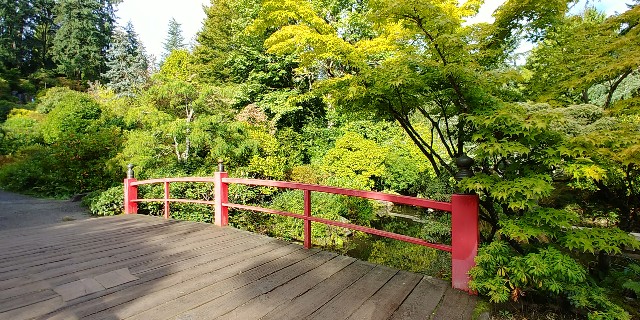 f:id:seattlelifelog:20200928105351j:image