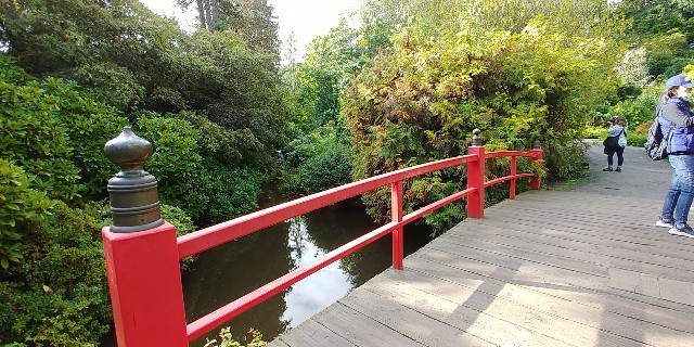 f:id:seattlelifelog:20200928105406j:image
