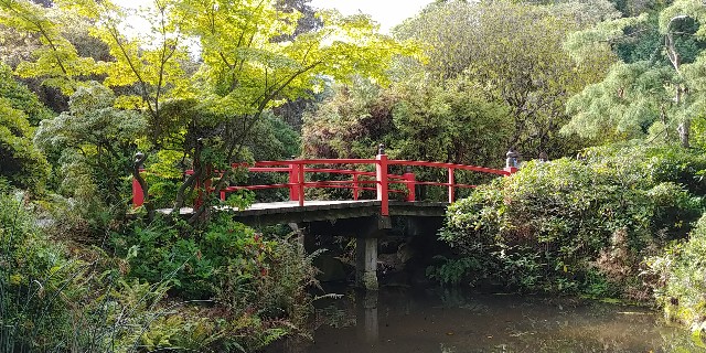 f:id:seattlelifelog:20200928105422j:image