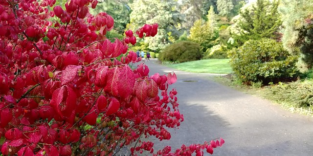 f:id:seattlelifelog:20200928105504j:image