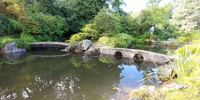 f:id:seattlelifelog:20200928105519j:image
