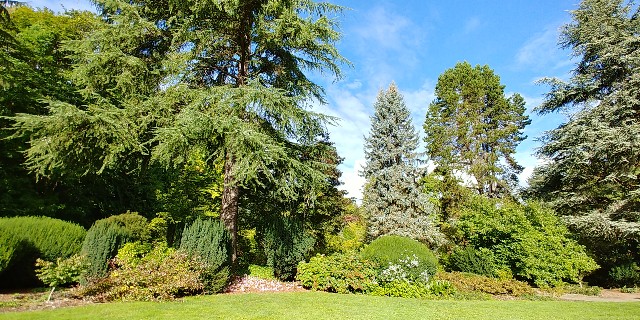 f:id:seattlelifelog:20200928105535j:image