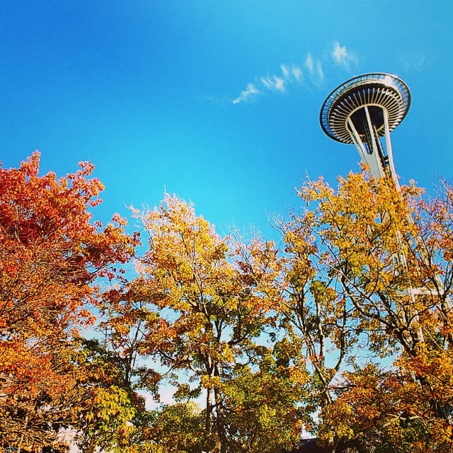 f:id:seattlelifelog:20201029014229j:image f:id:seattlelifelog:20201029014229j:image