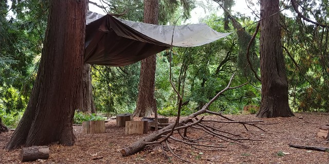 f:id:seattlelifelog:20201029015134j:image