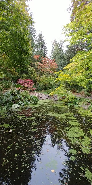 f:id:seattlelifelog:20201029015211j:image