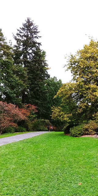 f:id:seattlelifelog:20201029015330j:image