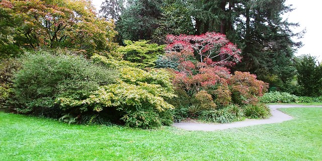 f:id:seattlelifelog:20201029015344j:image