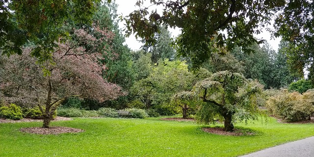 f:id:seattlelifelog:20201029015513j:image