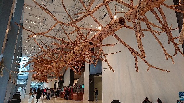 f:id:seattlelifelog:20201115124811j:image