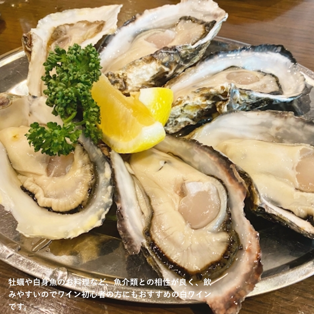 f:id:seawings_group:20210823114920j:plain