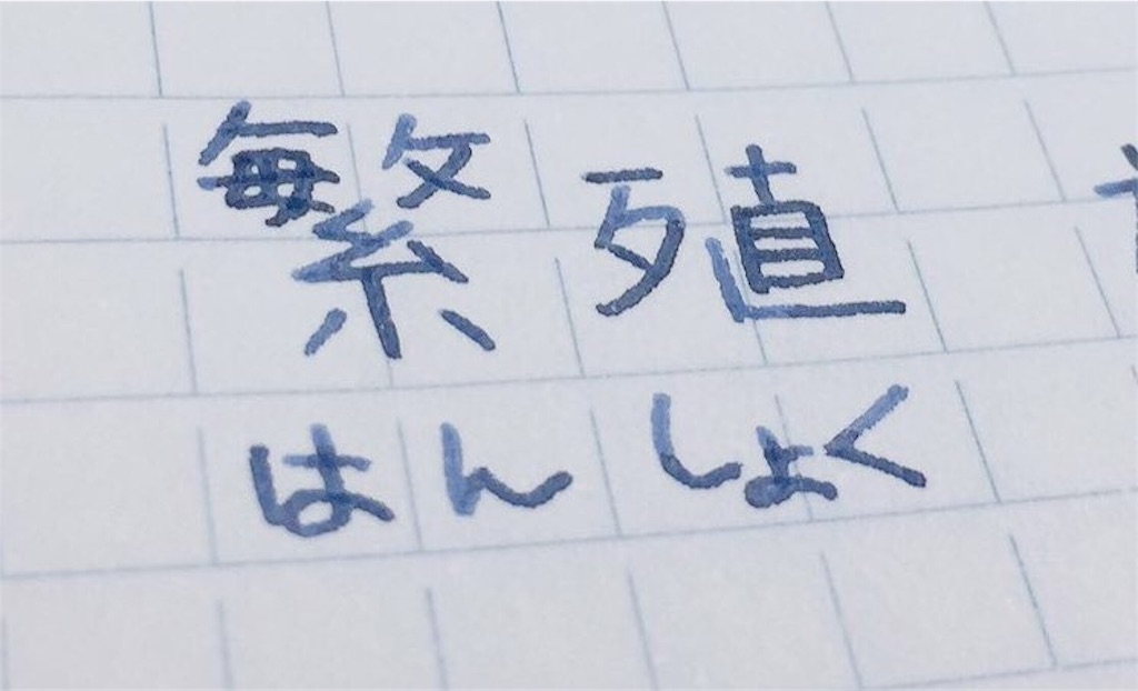 f:id:seb65535:20170813085919j:image