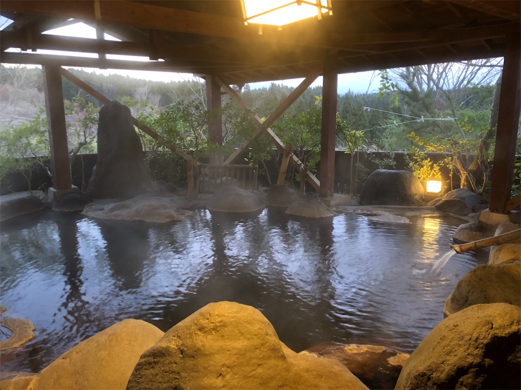 f:id:sebutyako:20190420135236j:image