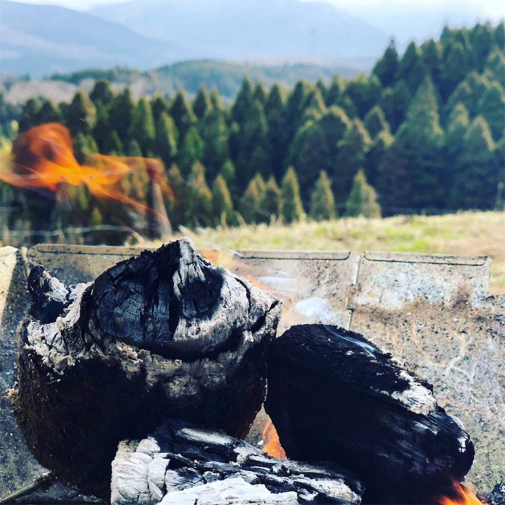 f:id:sebutyako:20190420135755j:image