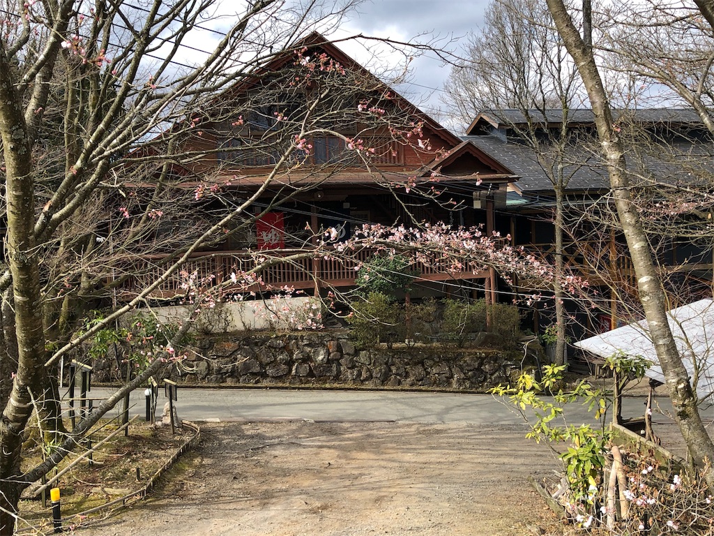 f:id:sebutyako:20190420135834j:image