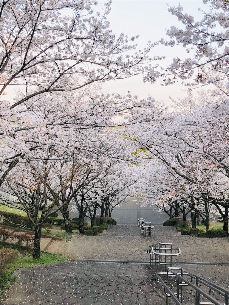 f:id:sebutyako:20190420140038j:image