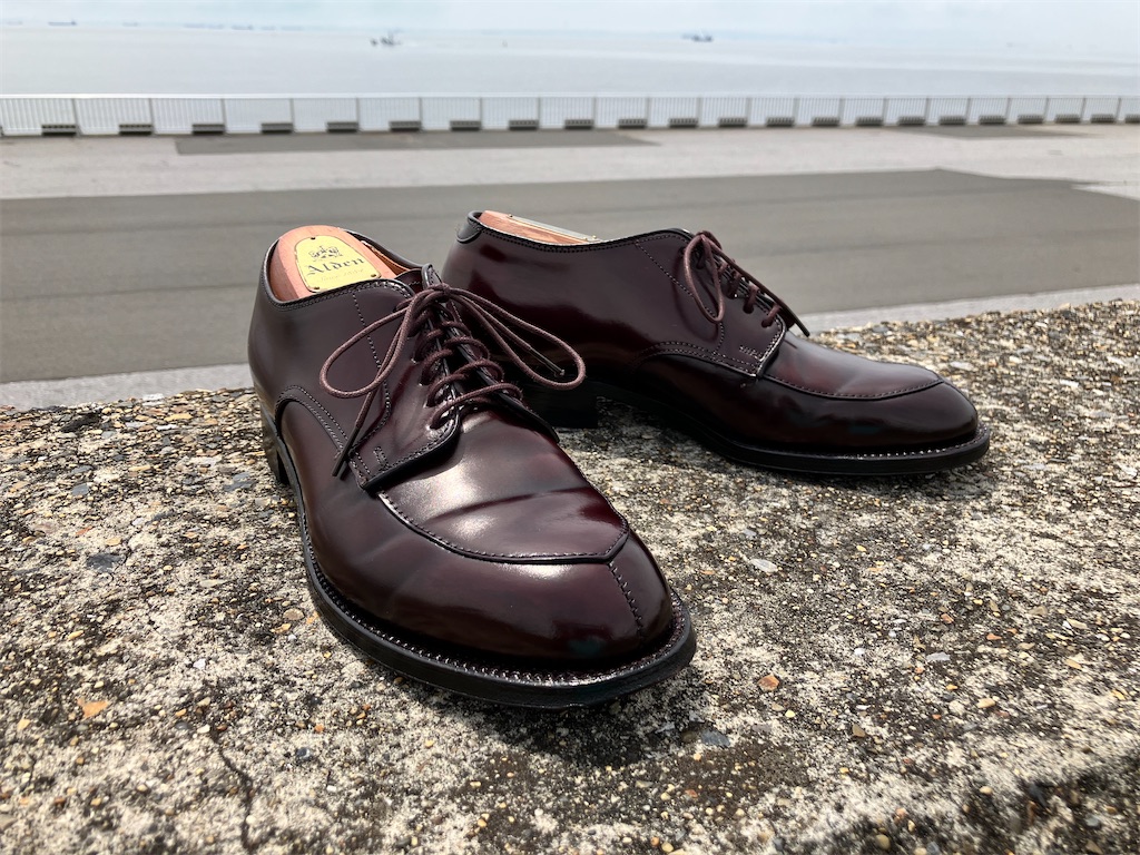 先人の経験と知性の賜物！ アルゴンキン オックスフォード. ALDEN