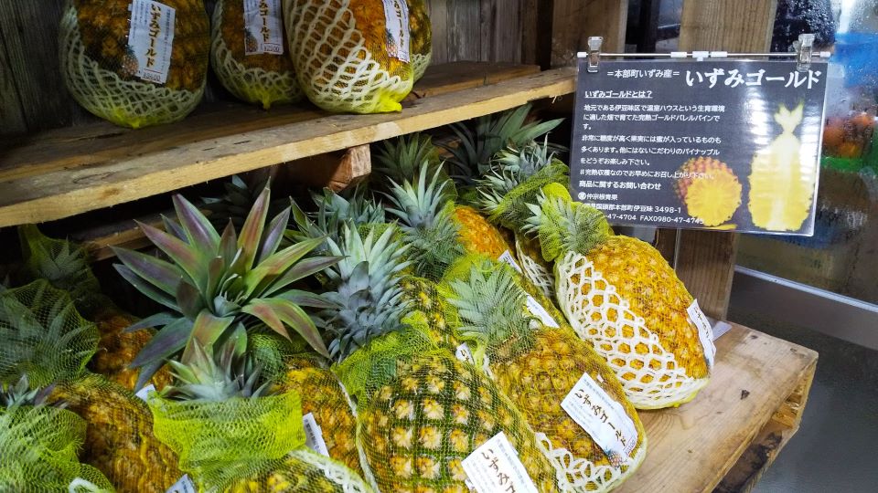ゴールドバレル（黄金の樽）パイナップル「いずみゴールド」の衝撃