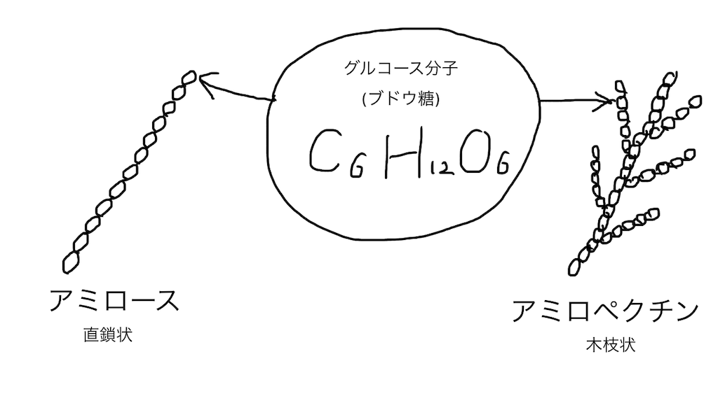 f:id:second_burnout:20210429172055p:image