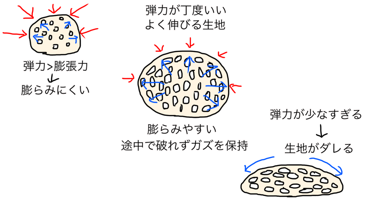 パン生地　粘弾性