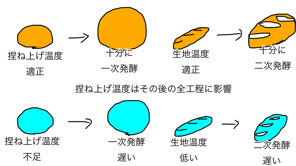 捏ね上げ温度は全工程に影響を及ぼす