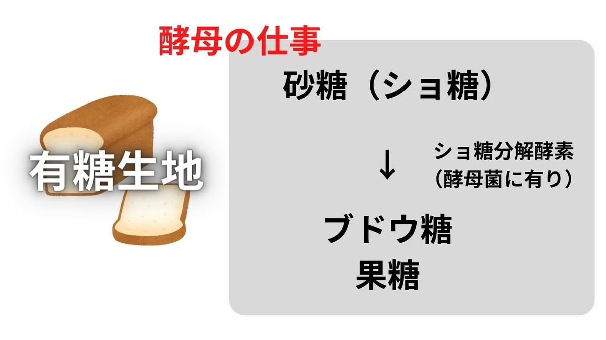 パン作り 砂糖 役割