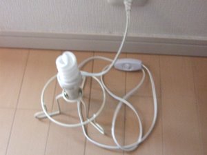 20090419063728