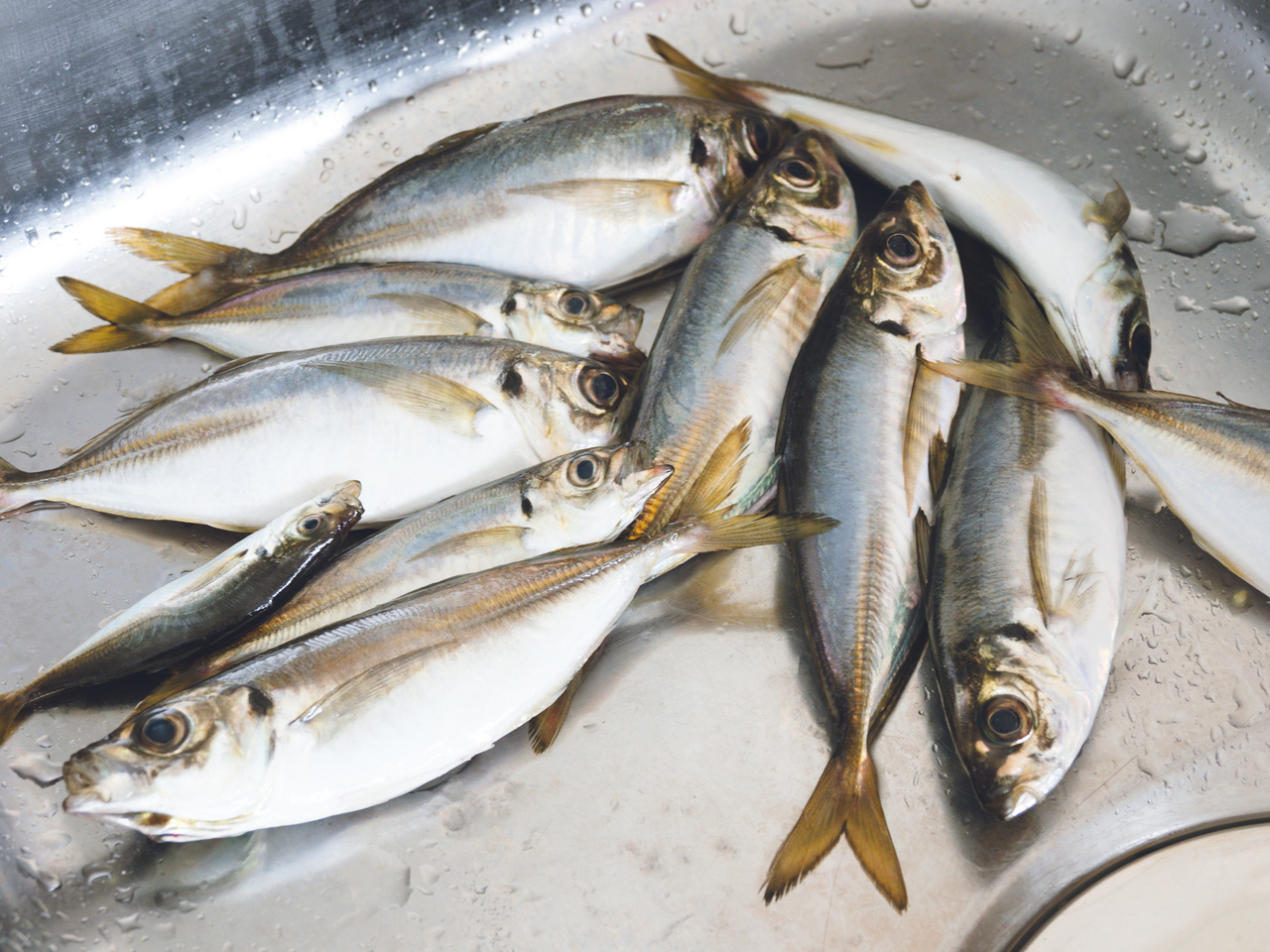 f:id:secondlife:20200724163940j:plain