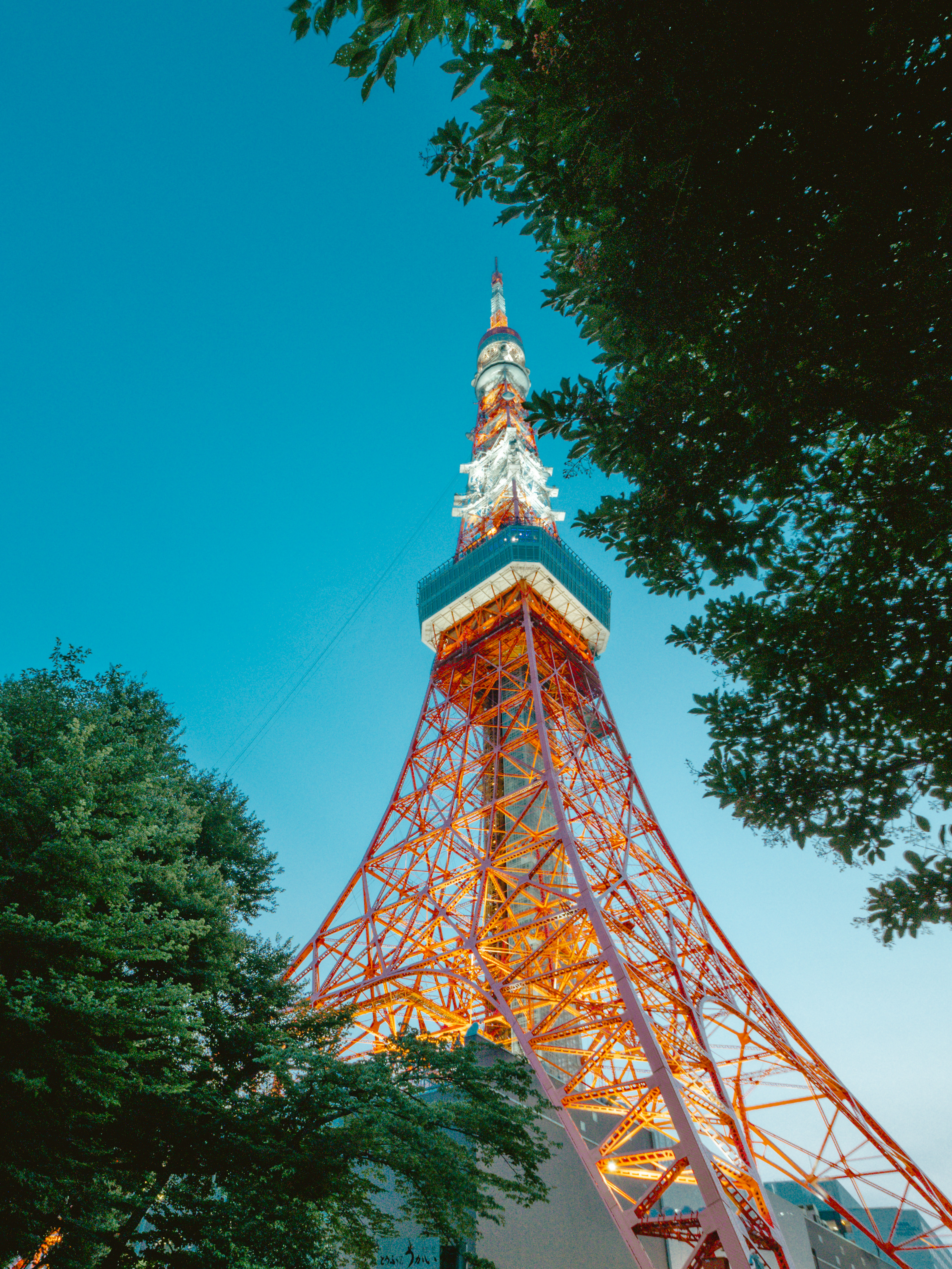 現像練習 フィルム風 2019年7月頃の東京タワー A Day In The Life