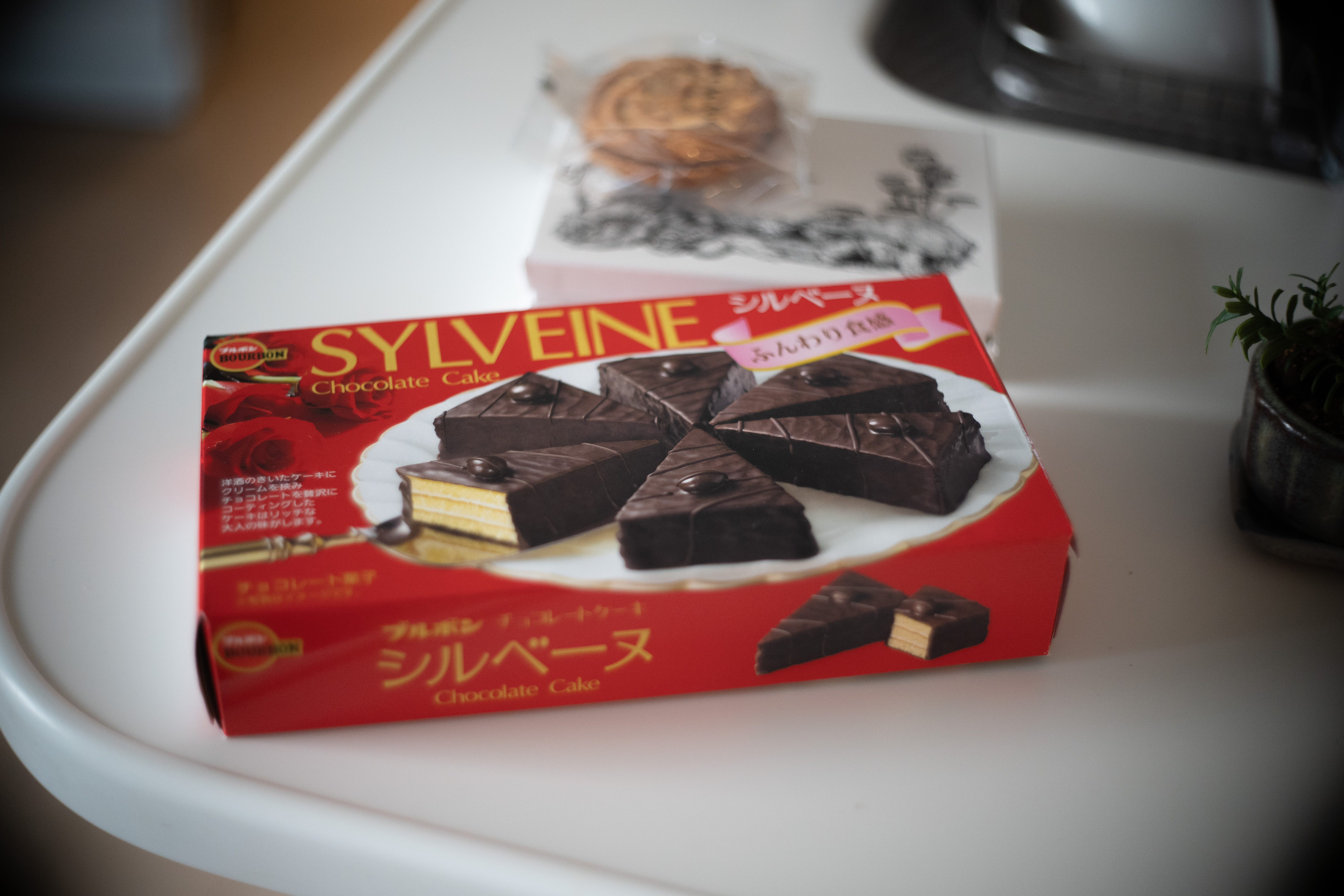 数十年ぶりのシルベーヌ 21年2月25日 A Day In The Life