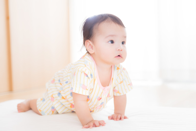 f:id:secondxight:20190731211447j:plain f:id:secondxight:20190731211447j:plain