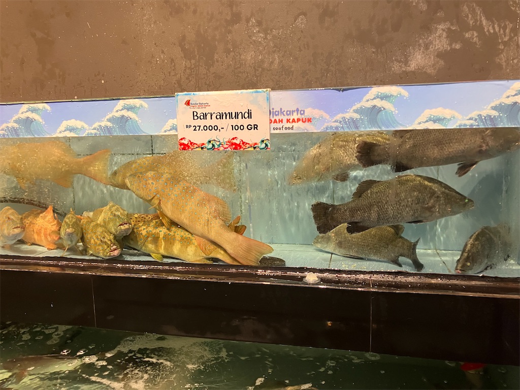 f:id:sedasuke:20240401130142j:image