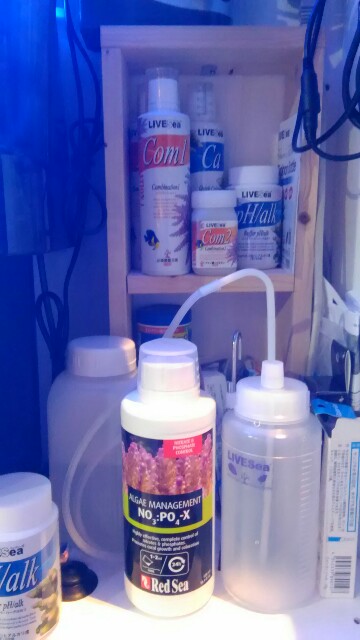 f:id:seed-352r:20190228005019j:image