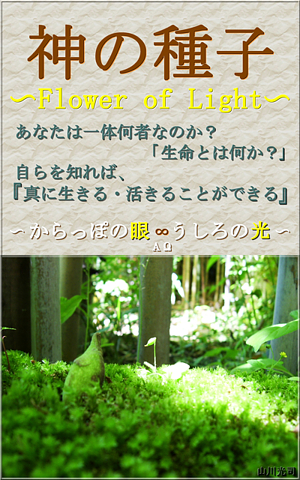 f:id:seedofgod:20200211133209j:plain f:id:seedofgod:20200211133209j:plain