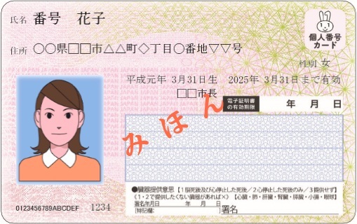f:id:seege:20190420113822j:plain