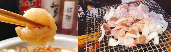 f:id:seege:20190428195347j:plain