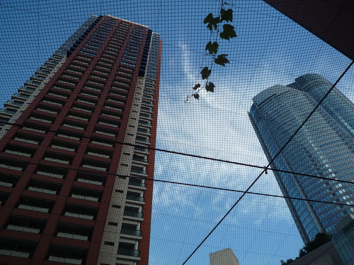 f:id:seege:20190707161208j:plain
