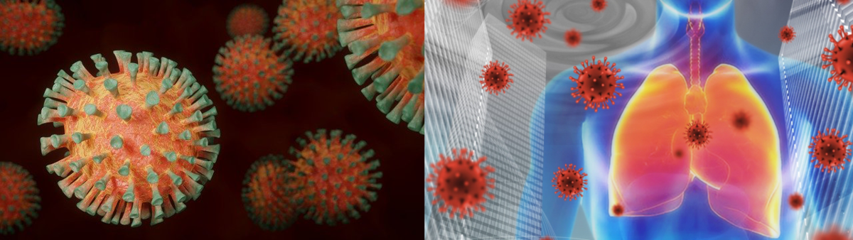 f:id:seege:20200426141650p:plain