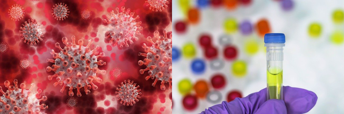 f:id:seege:20201212164311p:plain